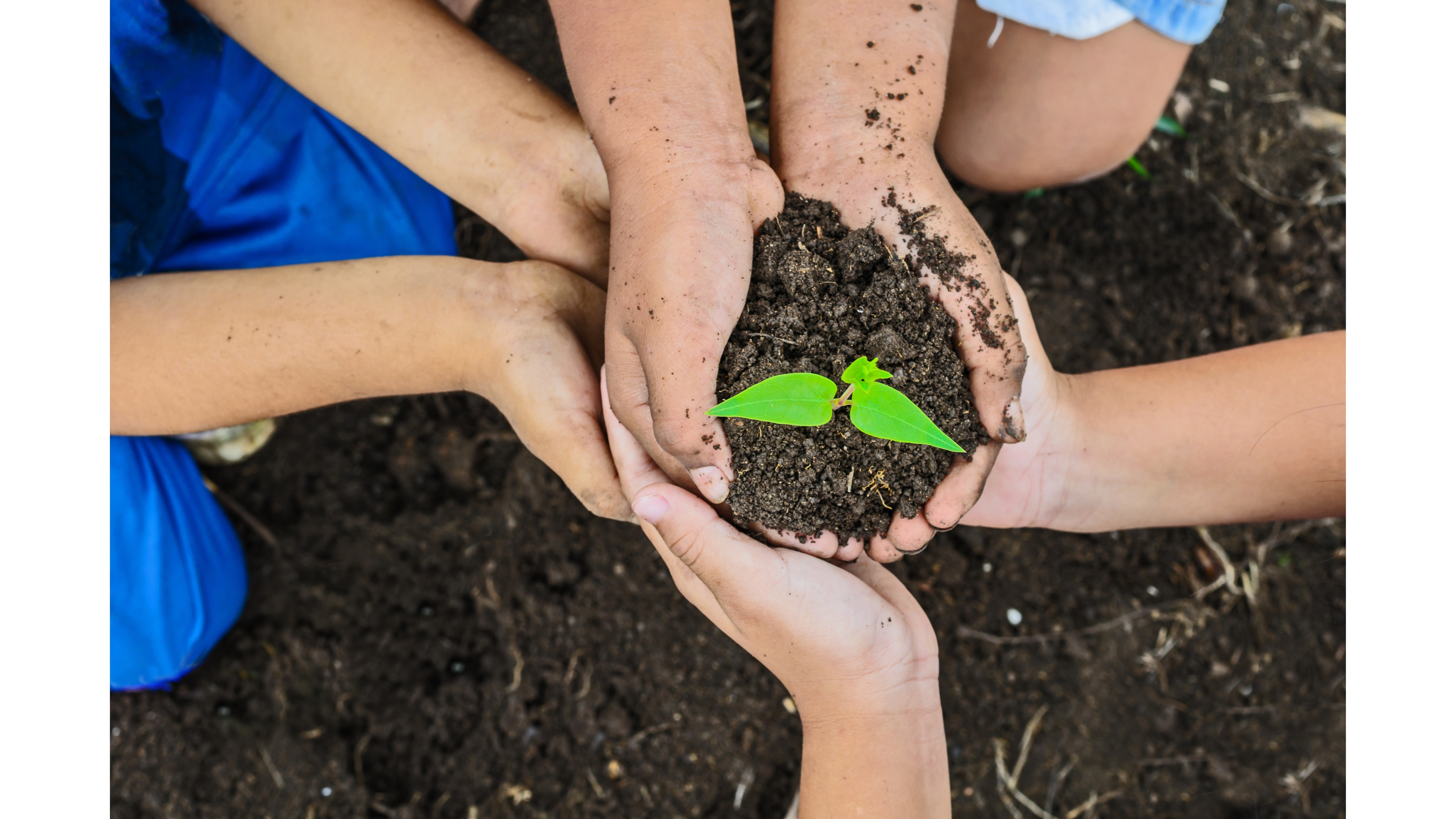 ECOLOGIE-PROTECTIA MEDIULUI